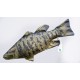 Gaby Smallmouth Bass